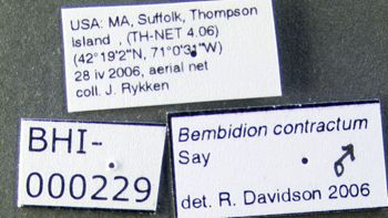 Media type: image;   Entomology 602195 Aspect: labels